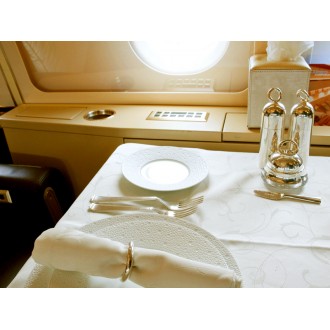 Airbus 318 Elite