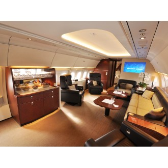 Airbus 318 Elite