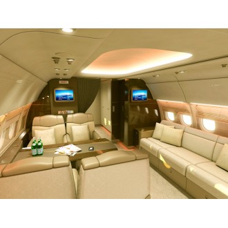 Airbus 318 Elite