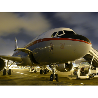 Airbus 318 Elite