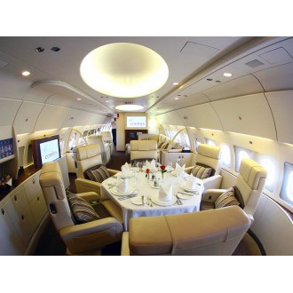 Airbus 318 Elite