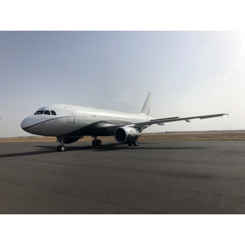 Airbus 318 Elite
