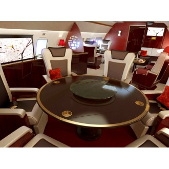 Airbus 318 Elite