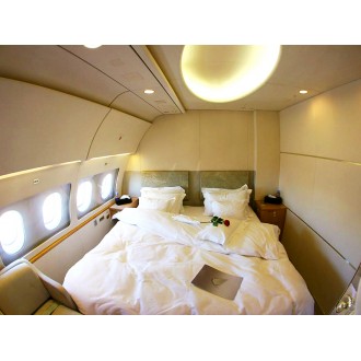 Airbus 318 Elite