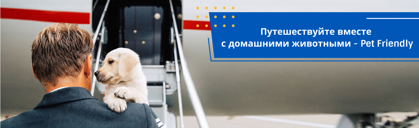 организация частного перелета под ключ